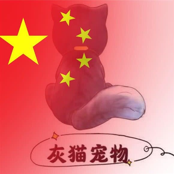 灰猫宠物(新华路店):潍坊市奎文区新华路佳乐家附近