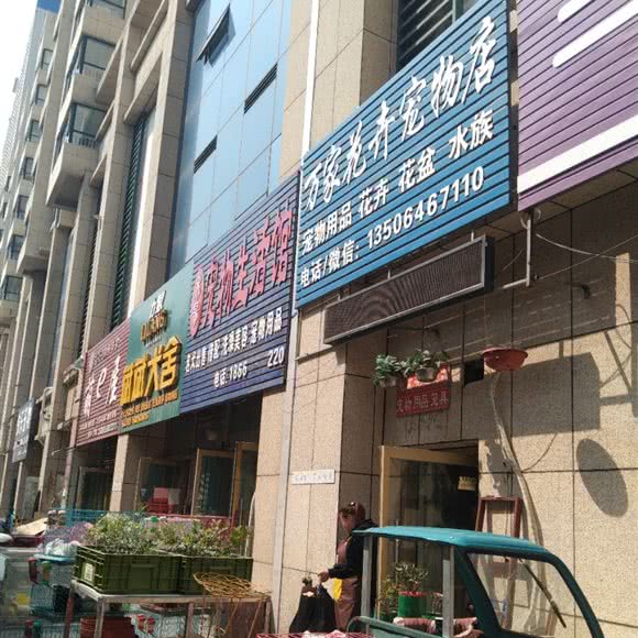 广丰宠物市场:潍坊市奎文区金沙广场附近