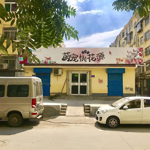 萌宠桃花源:济宁市任城区红星西路附近