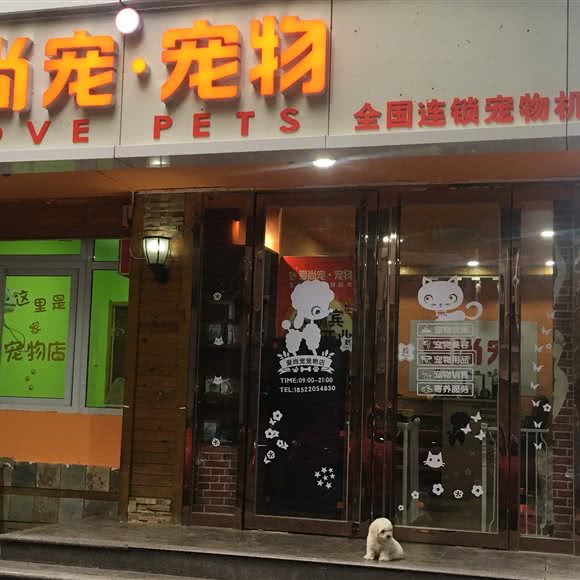 爱尚宠宠物:天津城区河西区友谊路附近