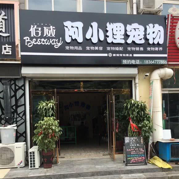 阿小狸宠物会所:济宁市任城区任城大道附近