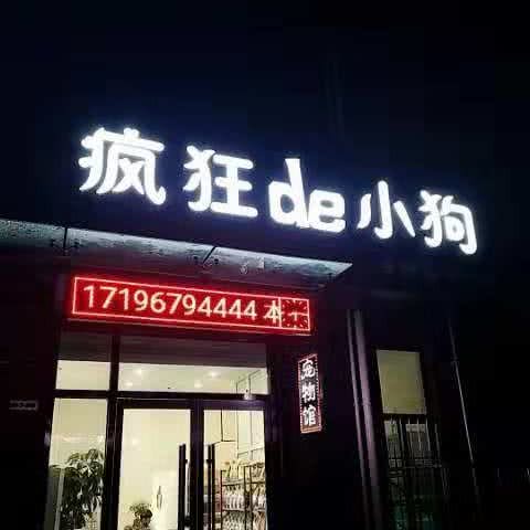 疯狂de小狗宠物馆(翠都店):济宁市任城区翠都国际附近