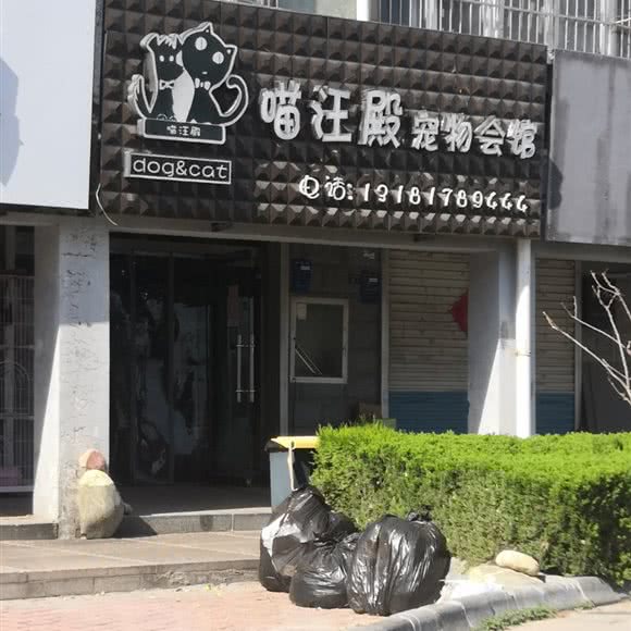 喵汪殿宠物会馆:泰安市泰山区擂鼓石大街附近