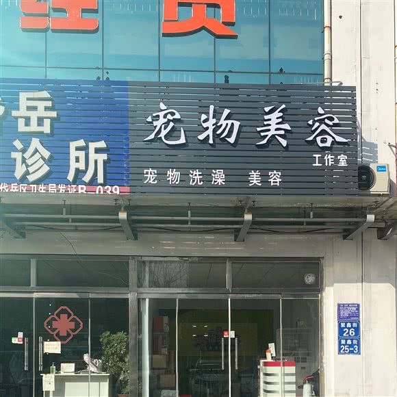 宠物美容工作室:泰安市岱岳区岱岳区中心城区附近