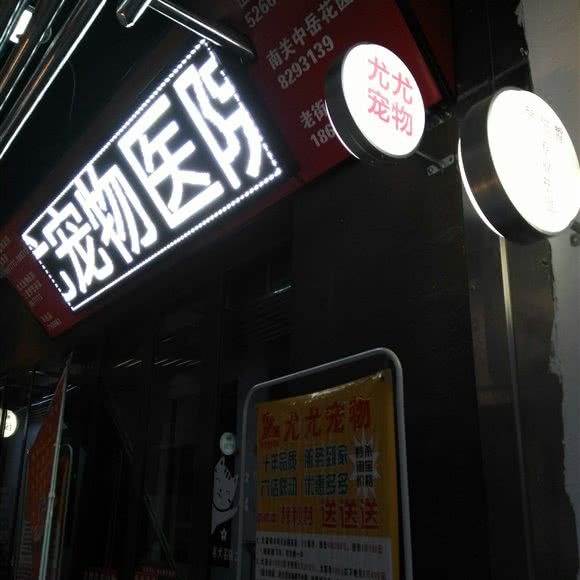 尤尤宠物(泰安老街店):泰安市岱岳区爱琴海购物中心附近