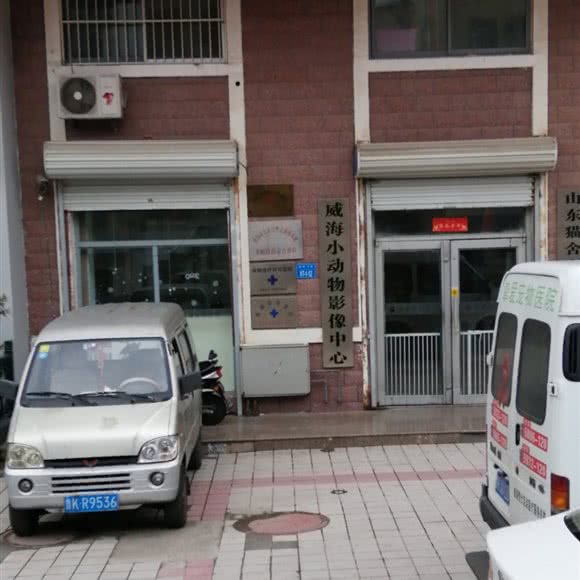 威海小动物影像中心:威海市环翠区塔山公园附近
