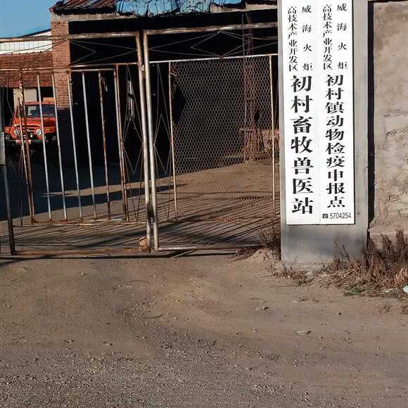 初村畜牧兽医站:威海市环翠区初村附近