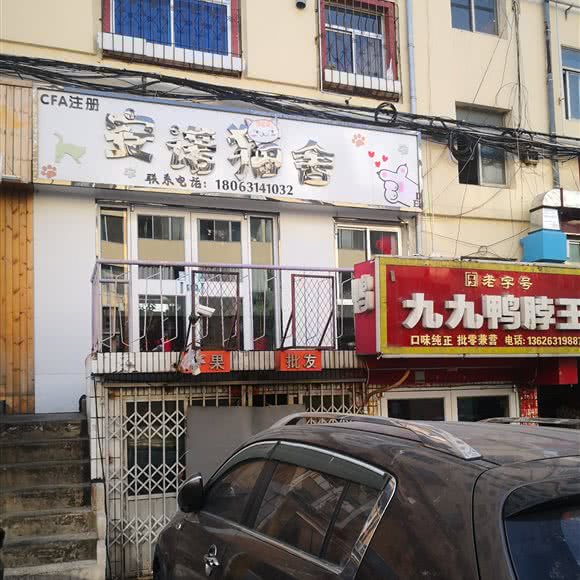安诺猫舍:威海市文登区天福街道附近