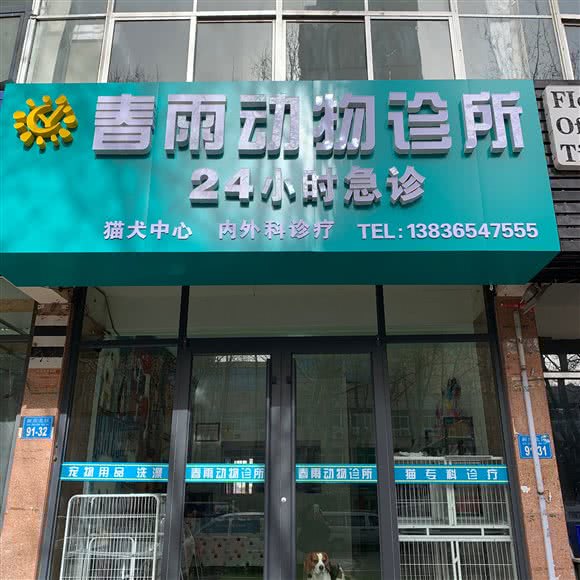 春雨动物诊所:威海市荣成市崖头街道附近