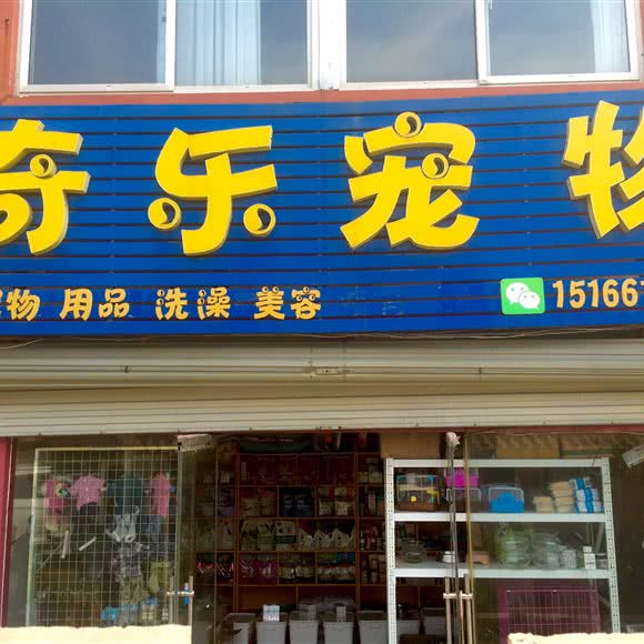 奇乐宠物:日照市东港区大学城附近
