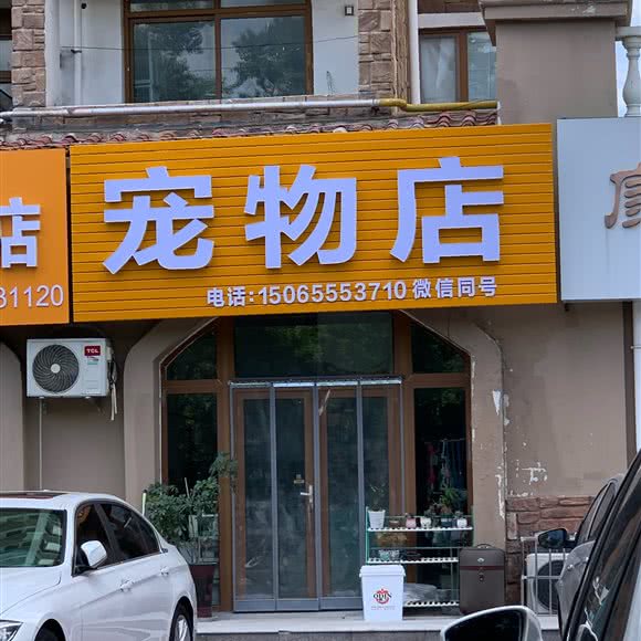 宠物店:日照市东港区大学城附近