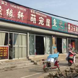 萌宠屋:日照市东港区老城区附近