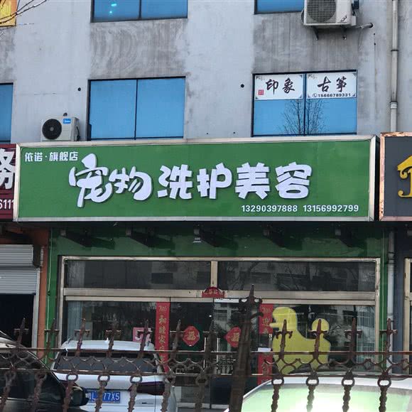 宠物洗护美容:日照市东港区老城区附近