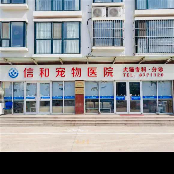 信和宠物医院:日照市东港区老城区附近