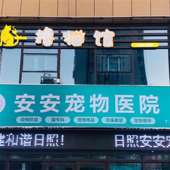 安安宠物医院:日照市东港区华润万象汇附近