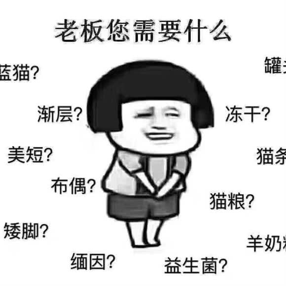 派多格宠物(启阳路店):临沂市兰山区人民广场附近