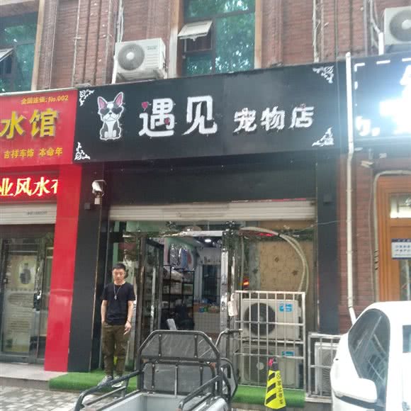 遇见宠物店:临沂市兰山区沂蒙路附近