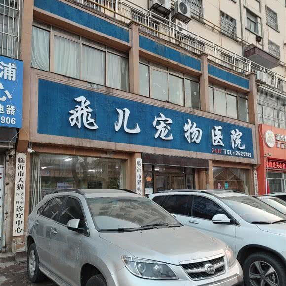 犬猫诊疗中心:临沂市兰山区沂蒙路附近