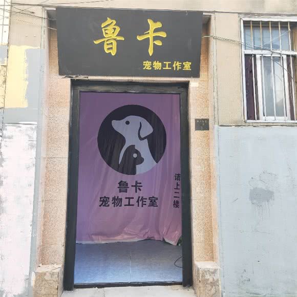鲁卡宠物工作室:临沂市兰山区临西五路附近