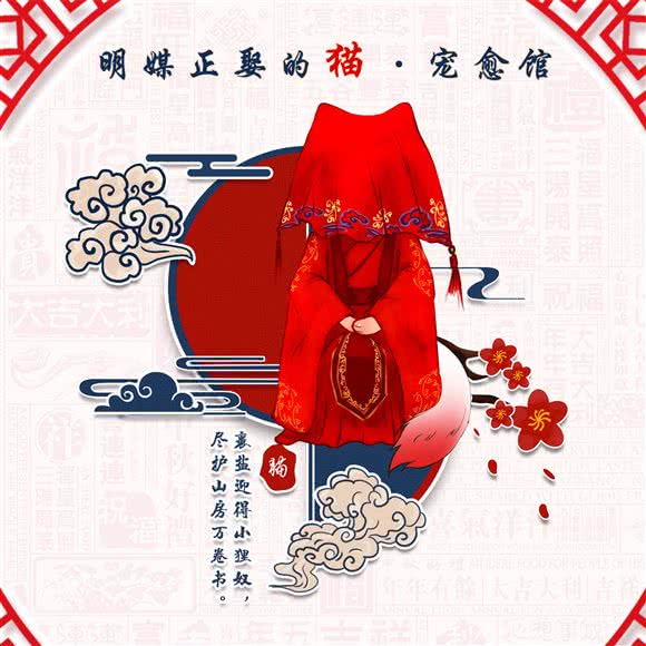 明媒正娶的猫·宠愈馆:临沂市兰山区通达路附近