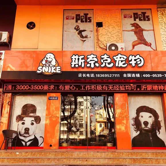 斯奈克宠物连锁(砚池街店):临沂市兰山区竹林桥附近