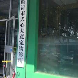 犬心犬意宠物医院:临沂市兰山区鲁班大厦附近