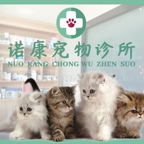诺康宠物诊所:临沂市兰山区银雀山路附近