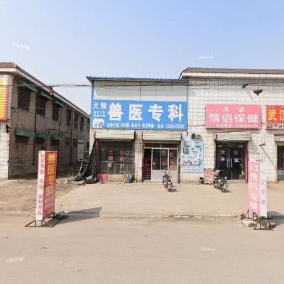 兽医专科:临沂市兰山区义堂镇附近