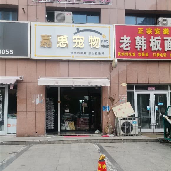 嘉惠宠物:临沂市河东区东方城附近