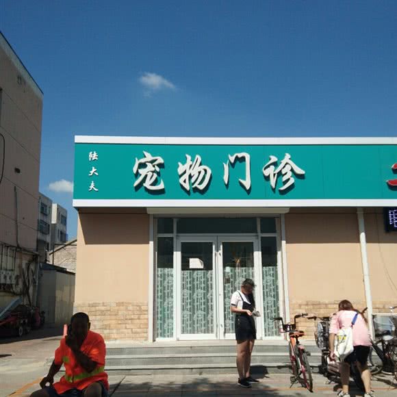 陆大夫宠物门诊:德州市德城区三八路附近