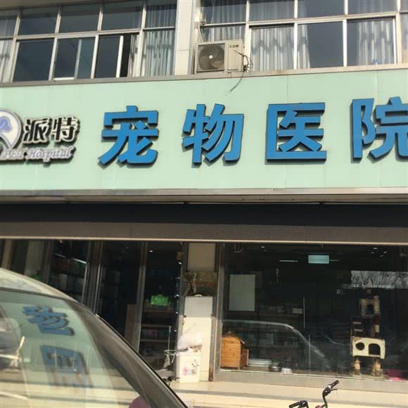 派特宠物医院:德州市德城区三八路附近