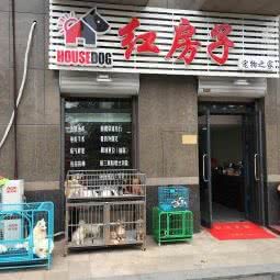 红房子宠物之家:天津城区南开区王顶堤/华苑附近