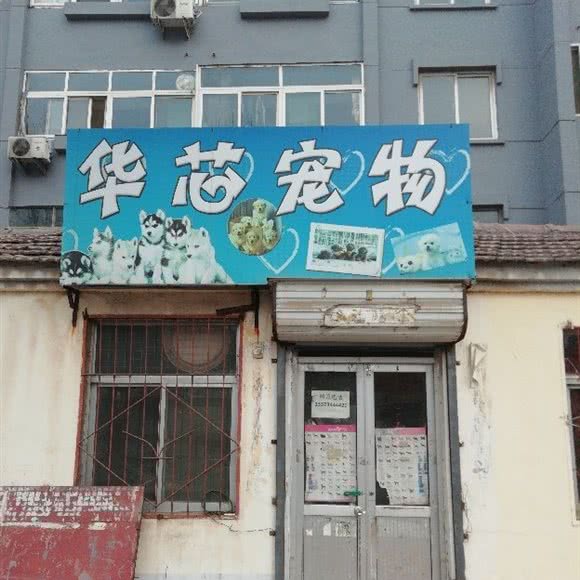 华芯宠物:德州市德城区湖滨南大道附近