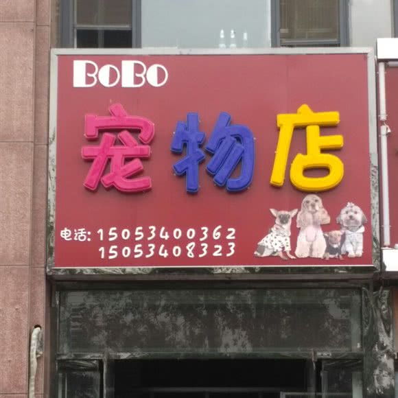 bobo宠物店:德州市德城区天衢路附近
