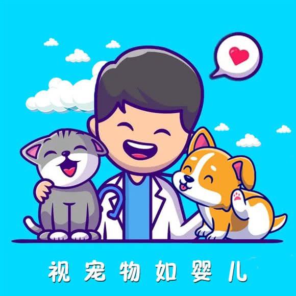 全心全意动物医院(三元桥店):北京城区朝阳区亮马桥/三元桥附近