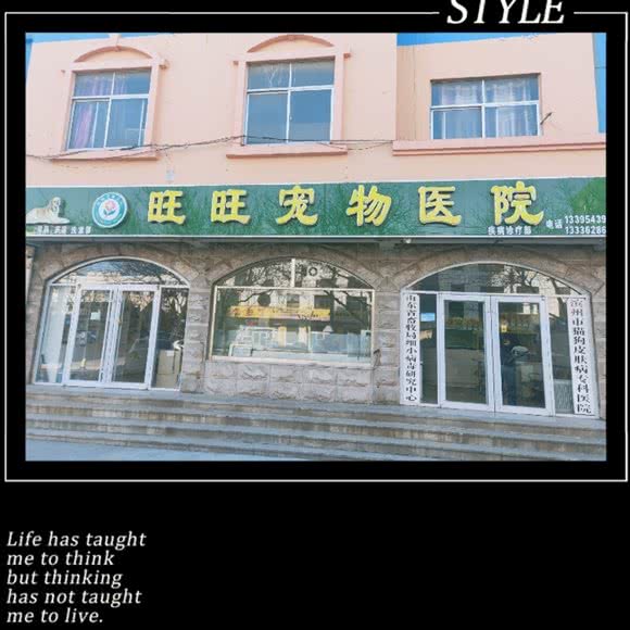 旺旺宠物医院:滨州市滨城区黄河二路附近