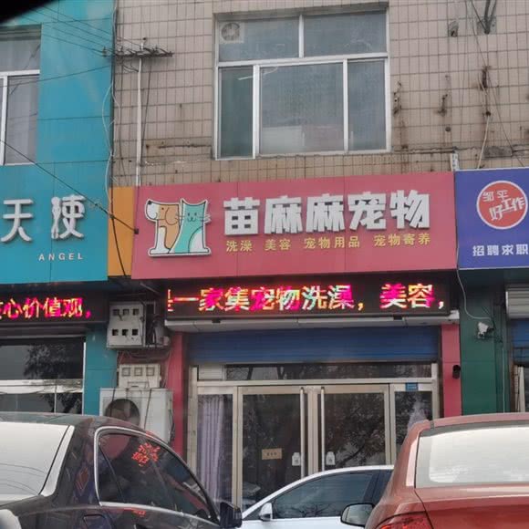 苗麻麻宠物狗:滨州市邹平市邹平市附近