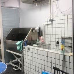 宠小戒:天津城区南开区南开公园/中学附近