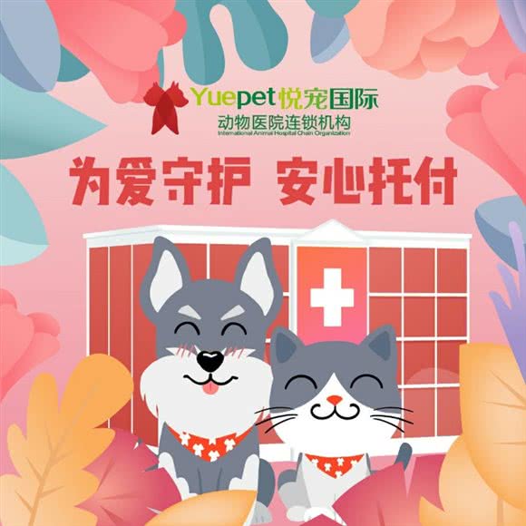 悦宠动物医院猫专科中心(曙光里店):北京城区朝阳区亮马桥/三元桥附近