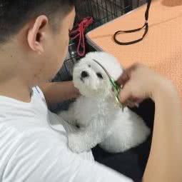 麦萌宠物(中原万达店):郑州市中原区中原万达附近