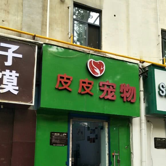 皮皮宠物狗:郑州市中原区锦艺城/王府井附近