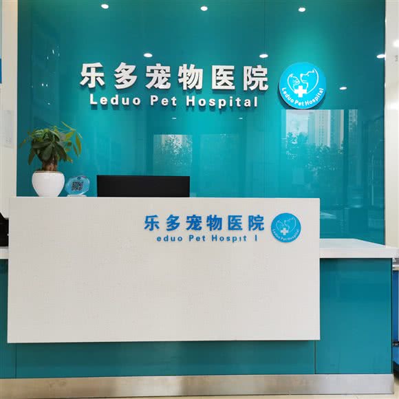 乐多宠物医院:郑州市中原区锦艺城/王府井附近