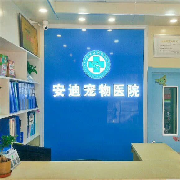 安迪宠物医院(一店):郑州市中原区冉屯路/五龙口附近