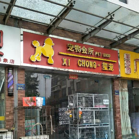 玺宠宠物会所:郑州市中原区儿童公园/凯旋门附近