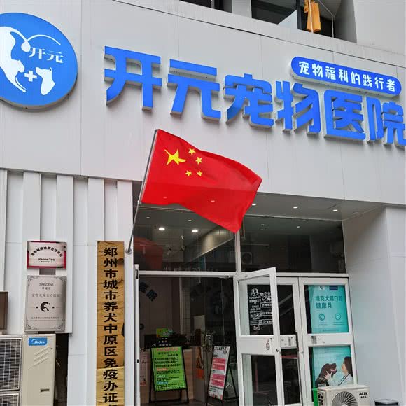 开元宠物医院:郑州市中原区儿童公园/凯旋门附近