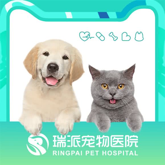 小琥仔动物医院·犬证办证点:郑州市二七区郑铁体育中心附近