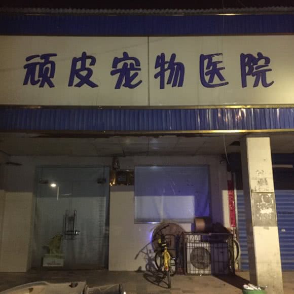 顽皮宠物医院:郑州市二七区万象城附近