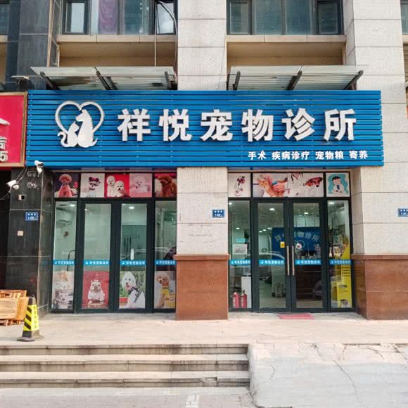 祥悦宠物诊所:郑州市二七区亚星锦和广场附近