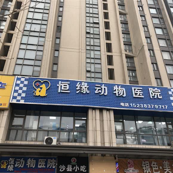 恒缘动物医院:郑州市管城回族区富田太阳城附近