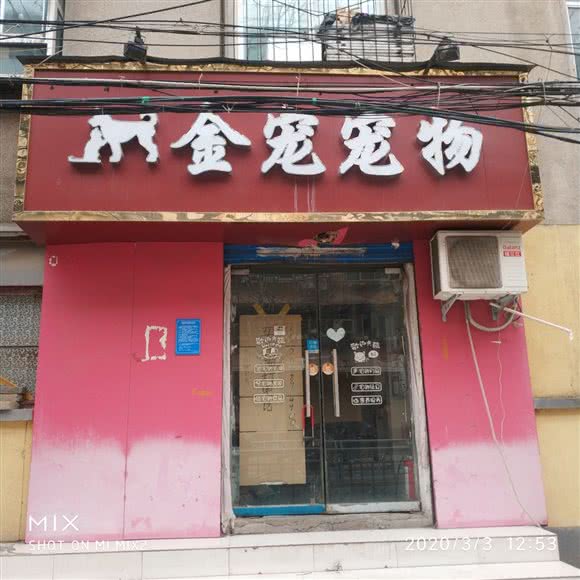 金宠宠物:郑州市管城回族区火车站/二七广场附近